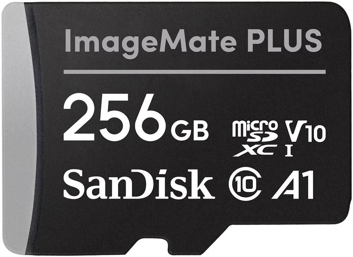 256GB microSDXC UHS 1 Memory Card W240