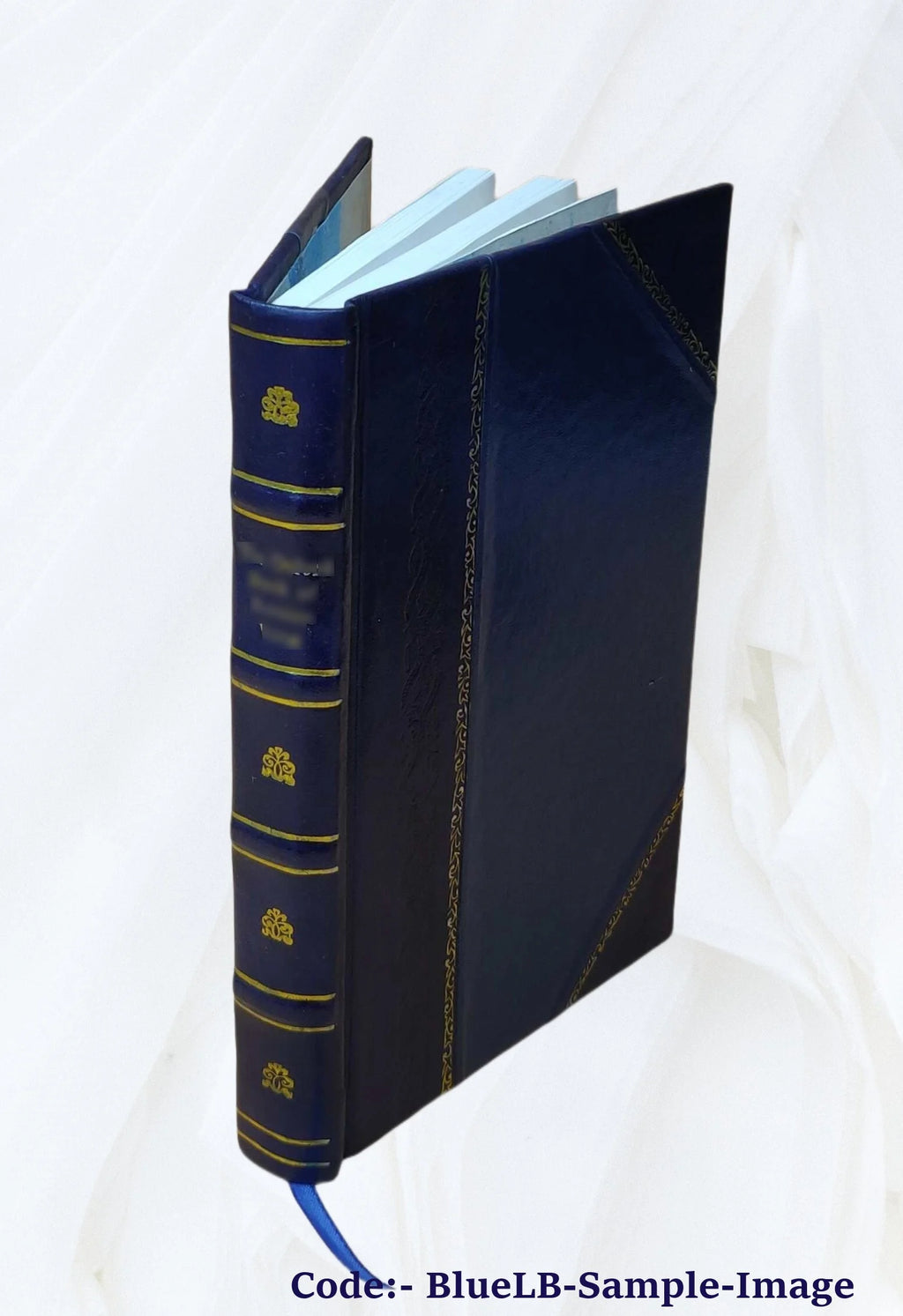 Leather Bound Book B2897