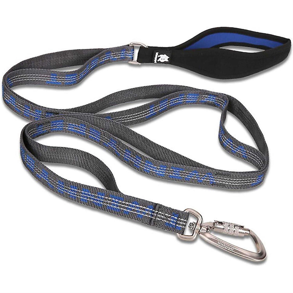 Heavy Duty Multi Handle Dog Leash V74275