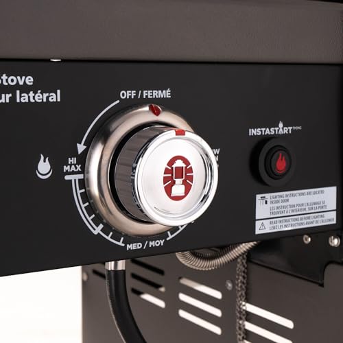 2-Burner 30,000 BTU BBQ Gas Grill in Black F13948