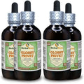 Organic Dried Fruits Alcohol-Free Liquid Extract 4x4 fl.oz Q322442