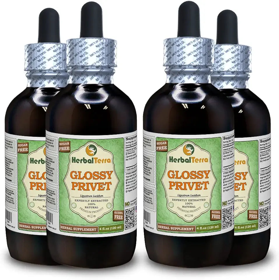 Organic Dried Fruits Alcohol-Free Liquid Extract 4x4 fl.oz Q322442