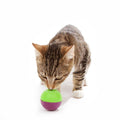 Cat Toy C4461