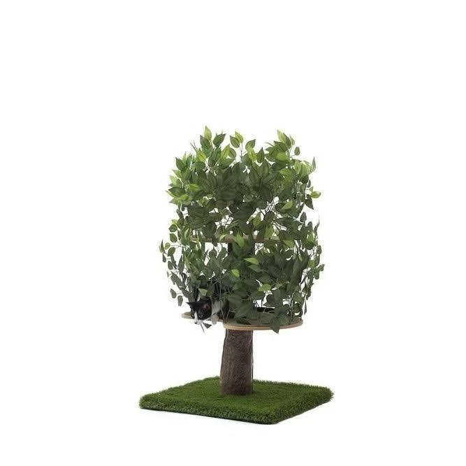 Plum Autumn 60-in Square Cat Tree T397
