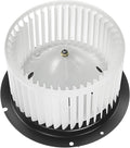 Heater Blower Motor with Fan Cage Pack of 2 T473