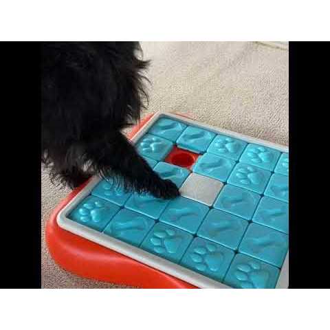 Dog Puzzle Toy D513999