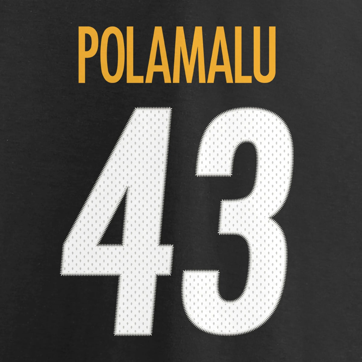 Black Pittsburgh Steelers Retired Player Football D980839