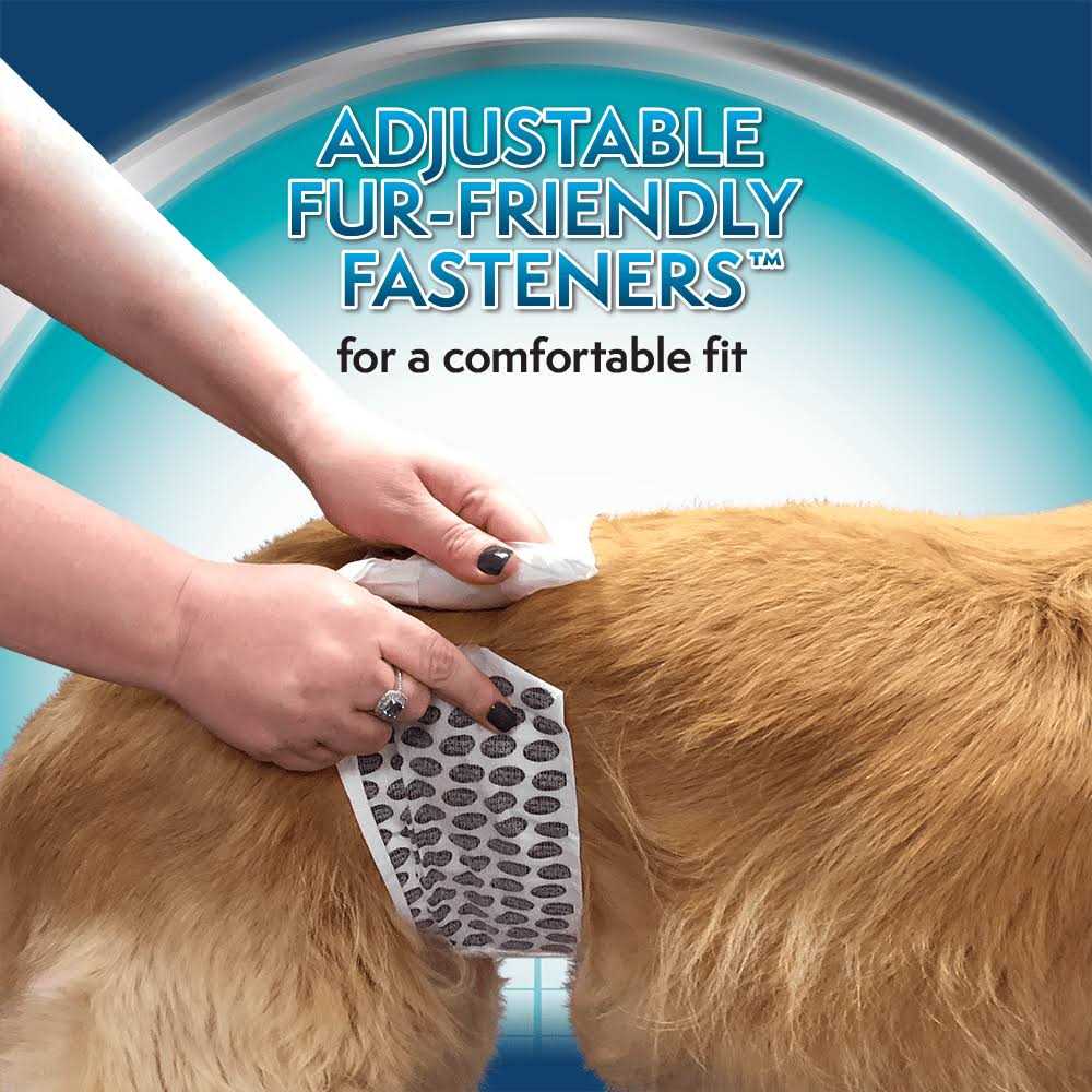 Disposable Male Wraps V8071