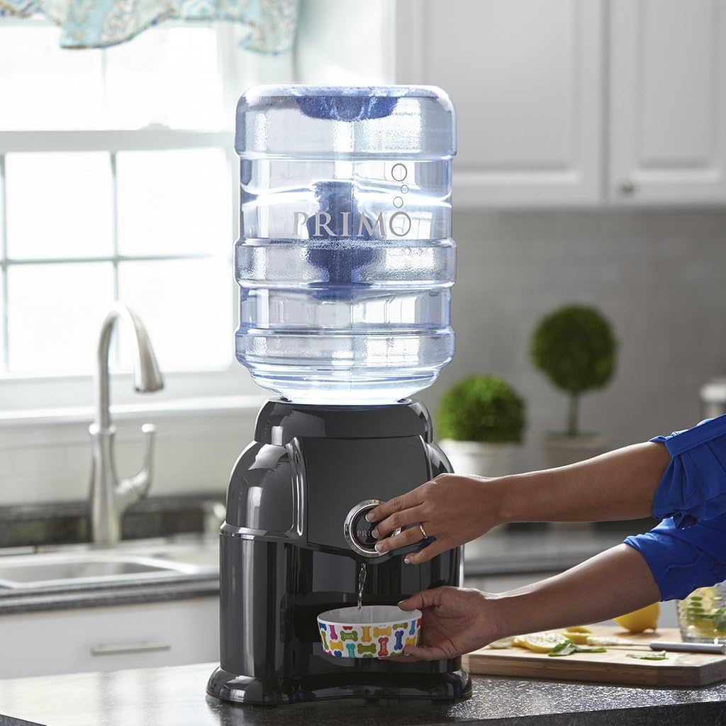 Black Countertop Water Dispenser S870