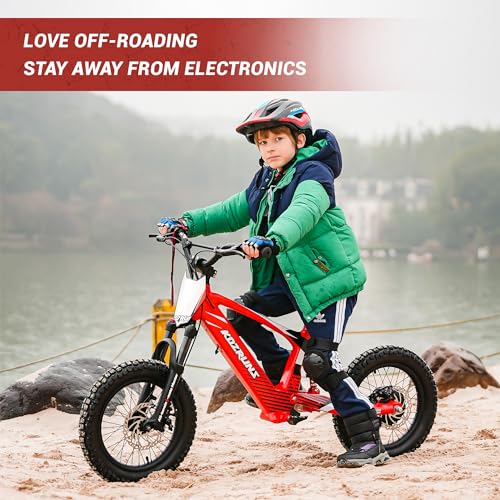 Lightweight Electric Dirt Bike, 750/850W Motor, 3-Speed Mode F26466