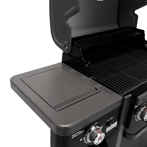 2-Burner 30,000 BTU BBQ Gas Grill in Black F13948