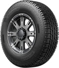 All-Season Radial Tire 275/55R20 113H X26811