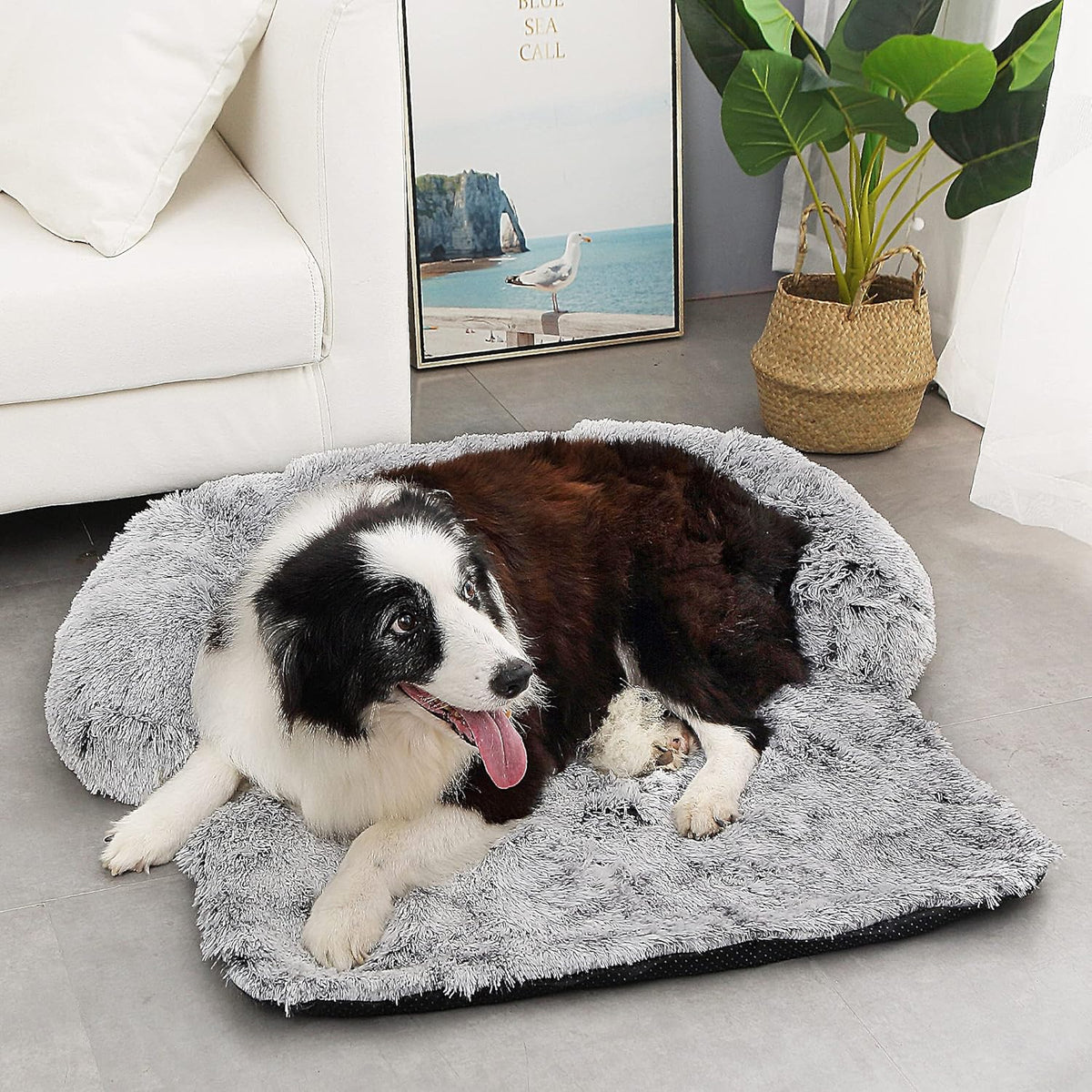 Fluffy Plush Dog Bed with Removable Washable Cover Pack of 2 O534812