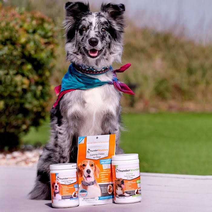 Hemp Calming Chews I6568