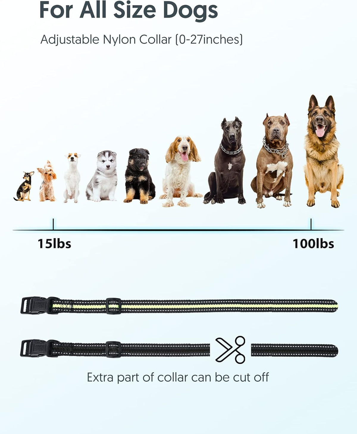2 Dogs Remote Training Collar Pack of 2 J61481
