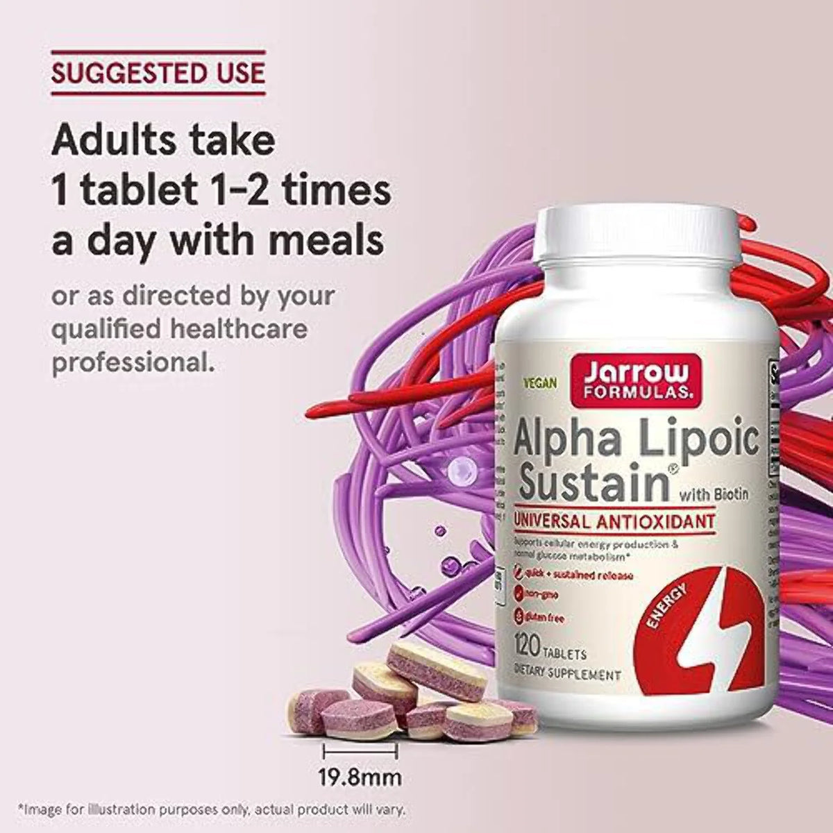 Alpha Lipoic 120 count T5429