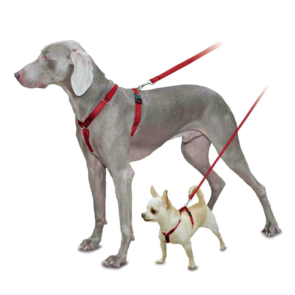 Pet Supplies Q178904