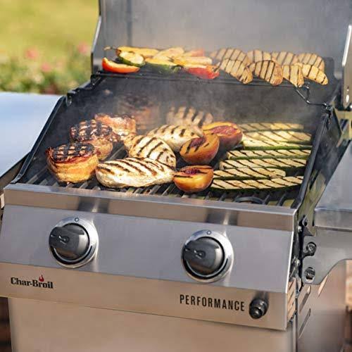 Stainless Steel 2-Burner Liquid Propane Gas Grill N998568