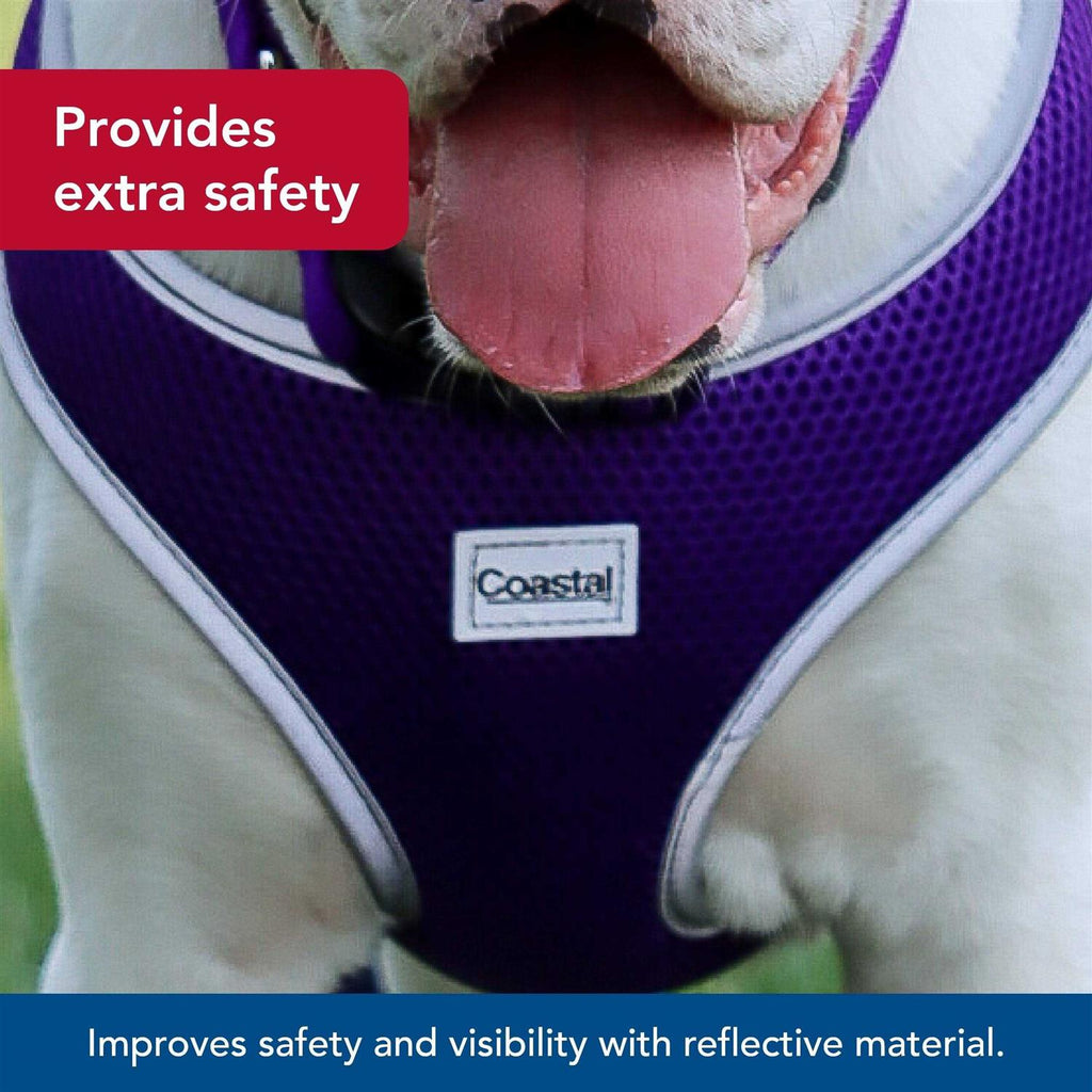 Adjustable Dog Harness Z31195