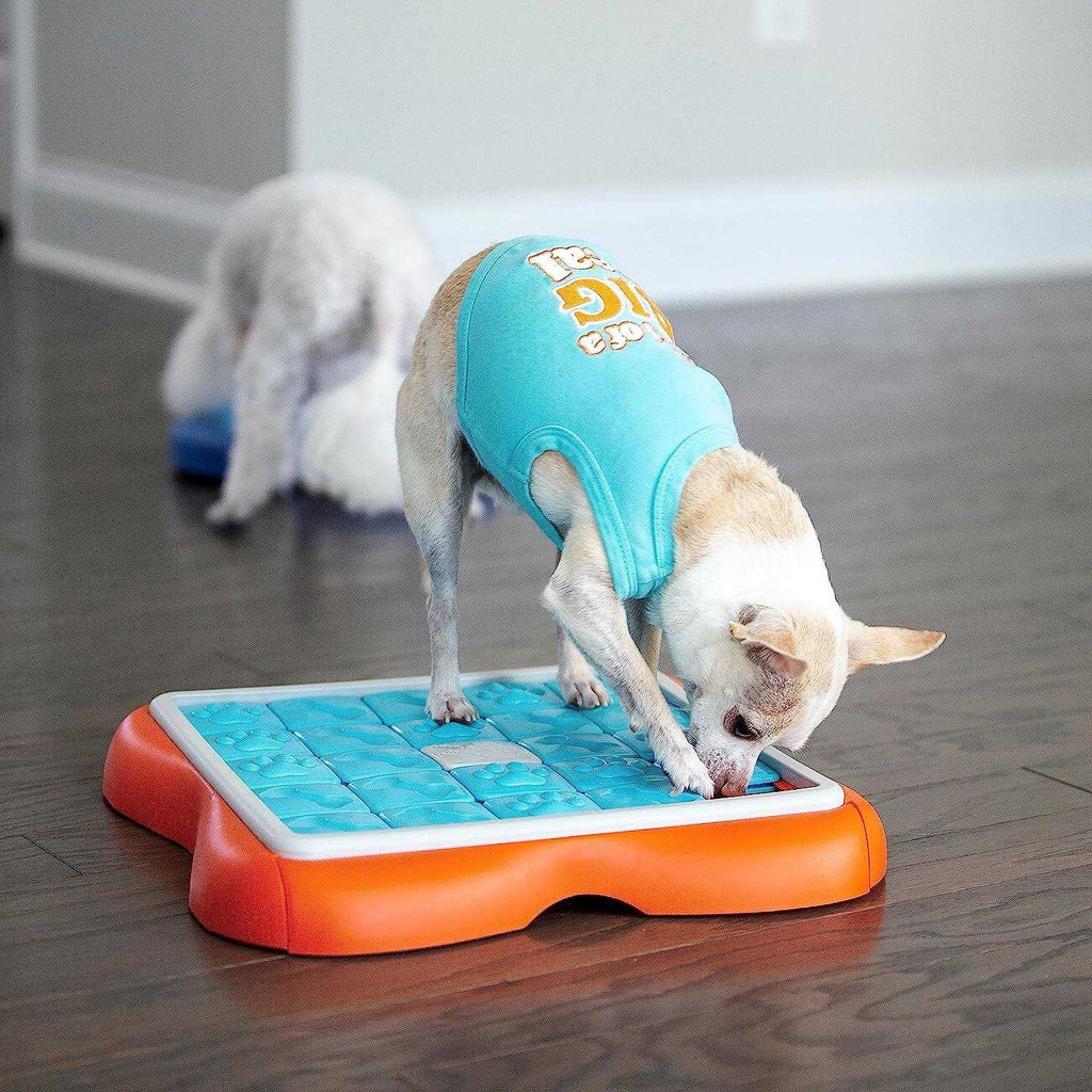 Dog Puzzle Toy D513999