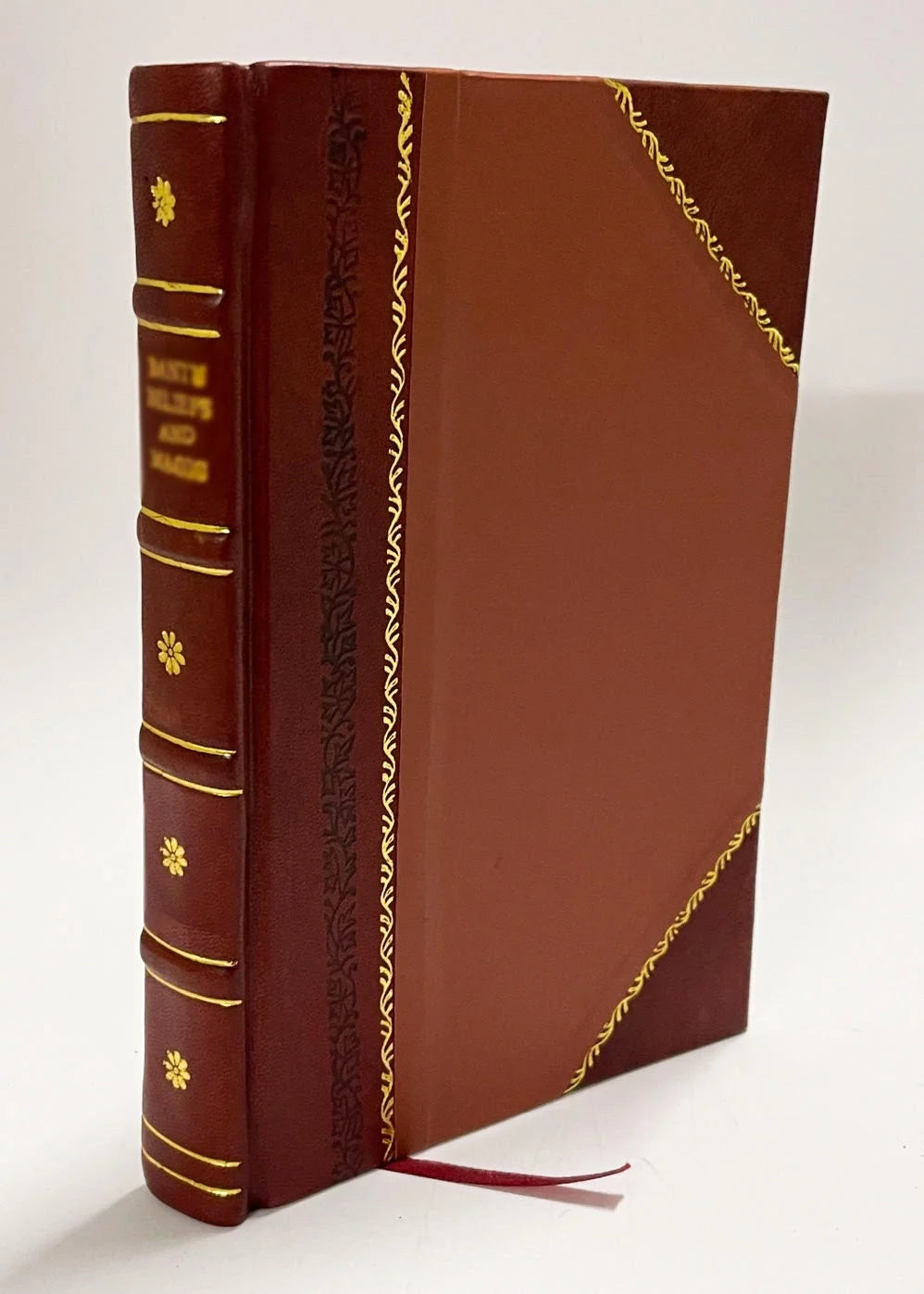 1891 Roanoke Virginia Investment Opportunities Manufacturing Advantages Transportation Service Trade Facilities Home Attractions Leather Bound V60154