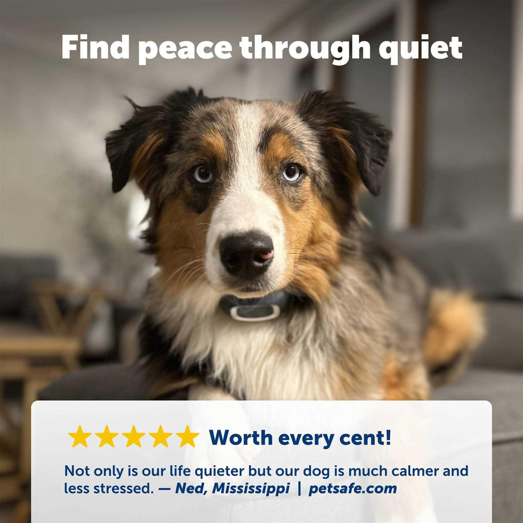 Bark Collar B735900