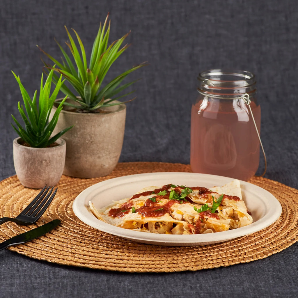 9'' PFAS Free Compostable Bagasse Round Plates, 500 ct U604100