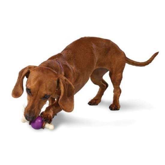 Bouncy Bone Pet Supplies G239