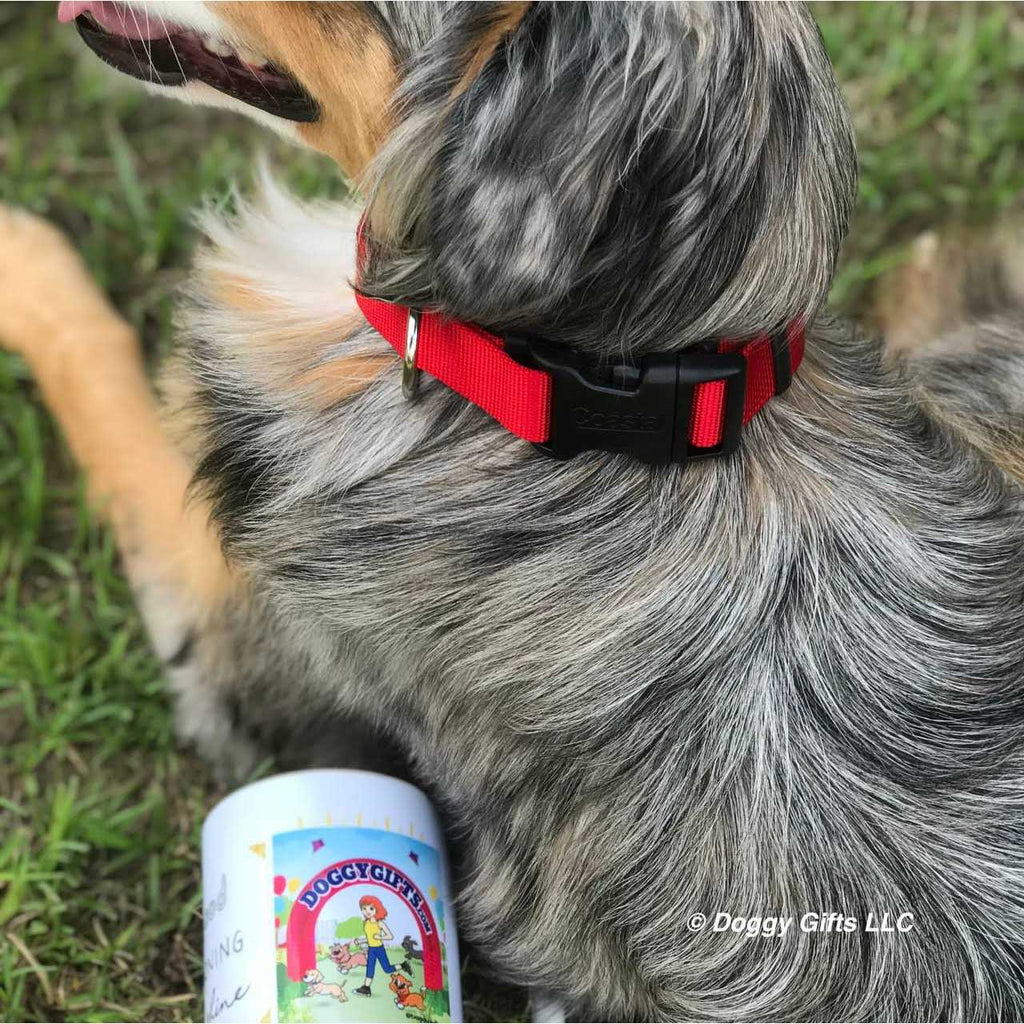 Flea Collar Protector O2330