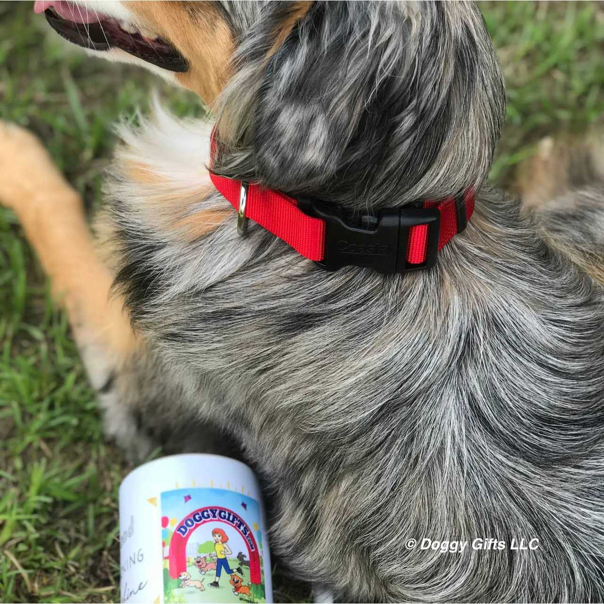 Flea Collar Protector O2330