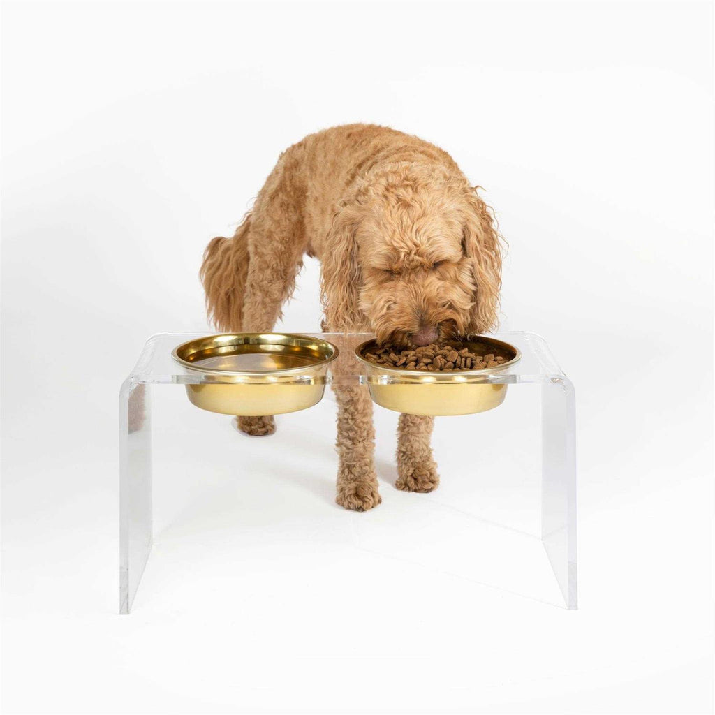 Large Clear Double Bowl Pet Feeder H7629