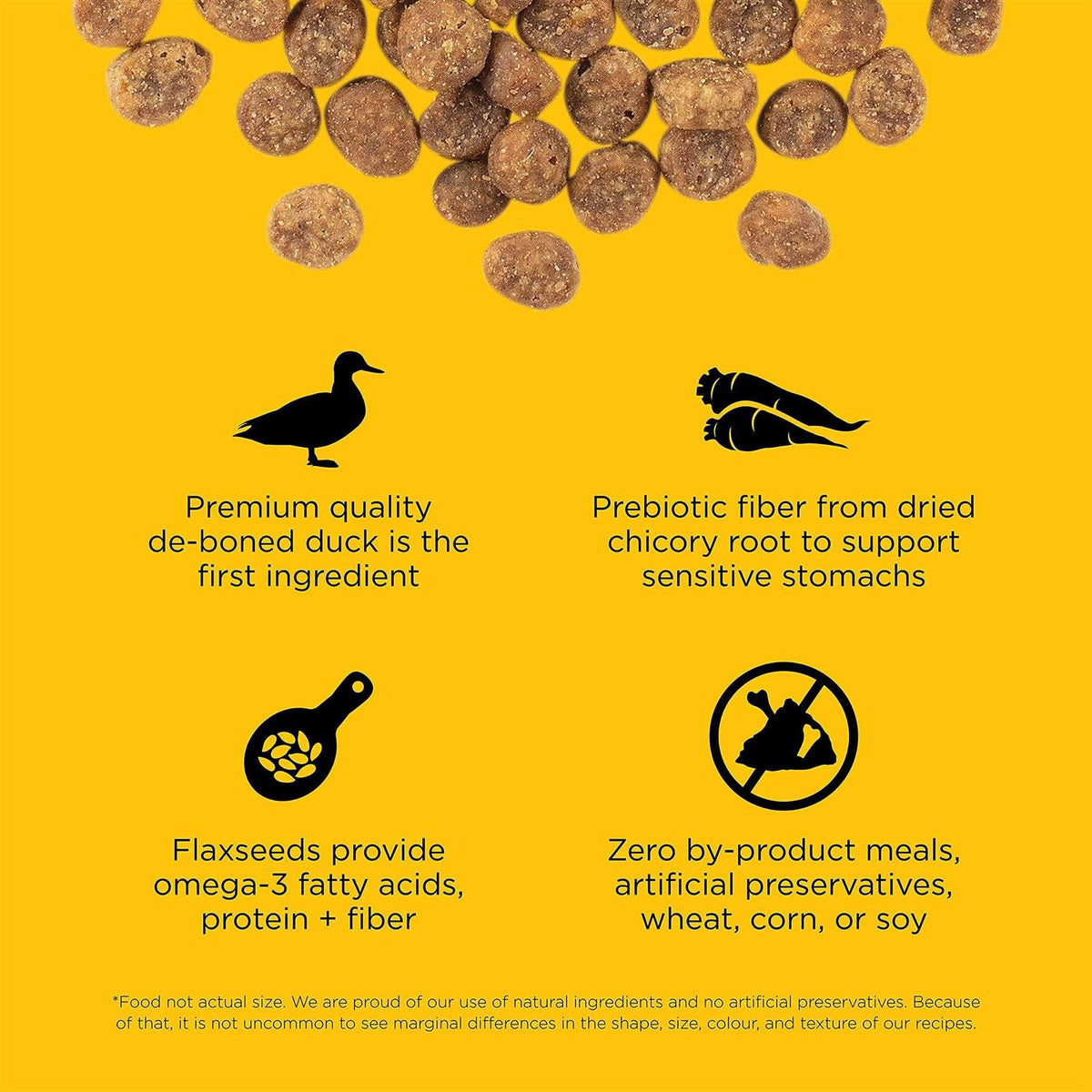 Limited Ingredient Duck Recipe Dry Cat Food X339