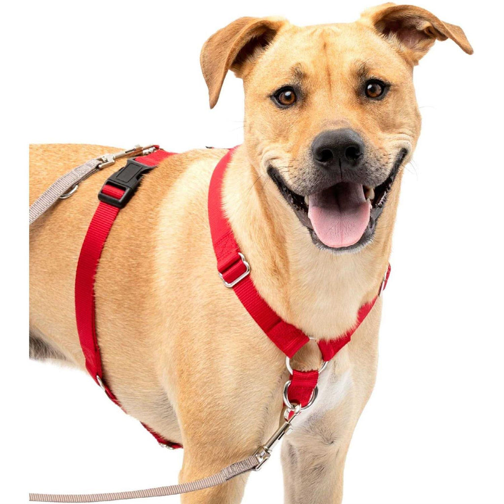Pet Supplies Q178904
