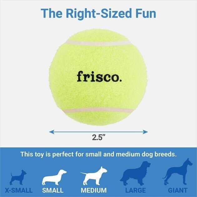 Squeaky Tennis Ball Dog Toy Y20814