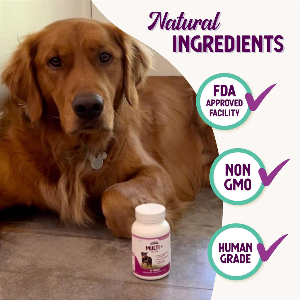 Lifetime Vitamins O21999