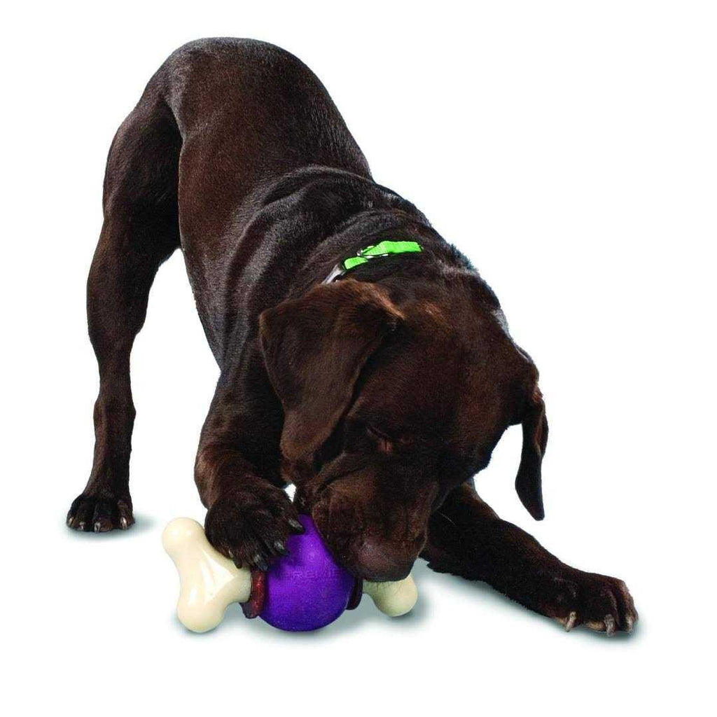 Bouncy Bone Pet Supplies G239