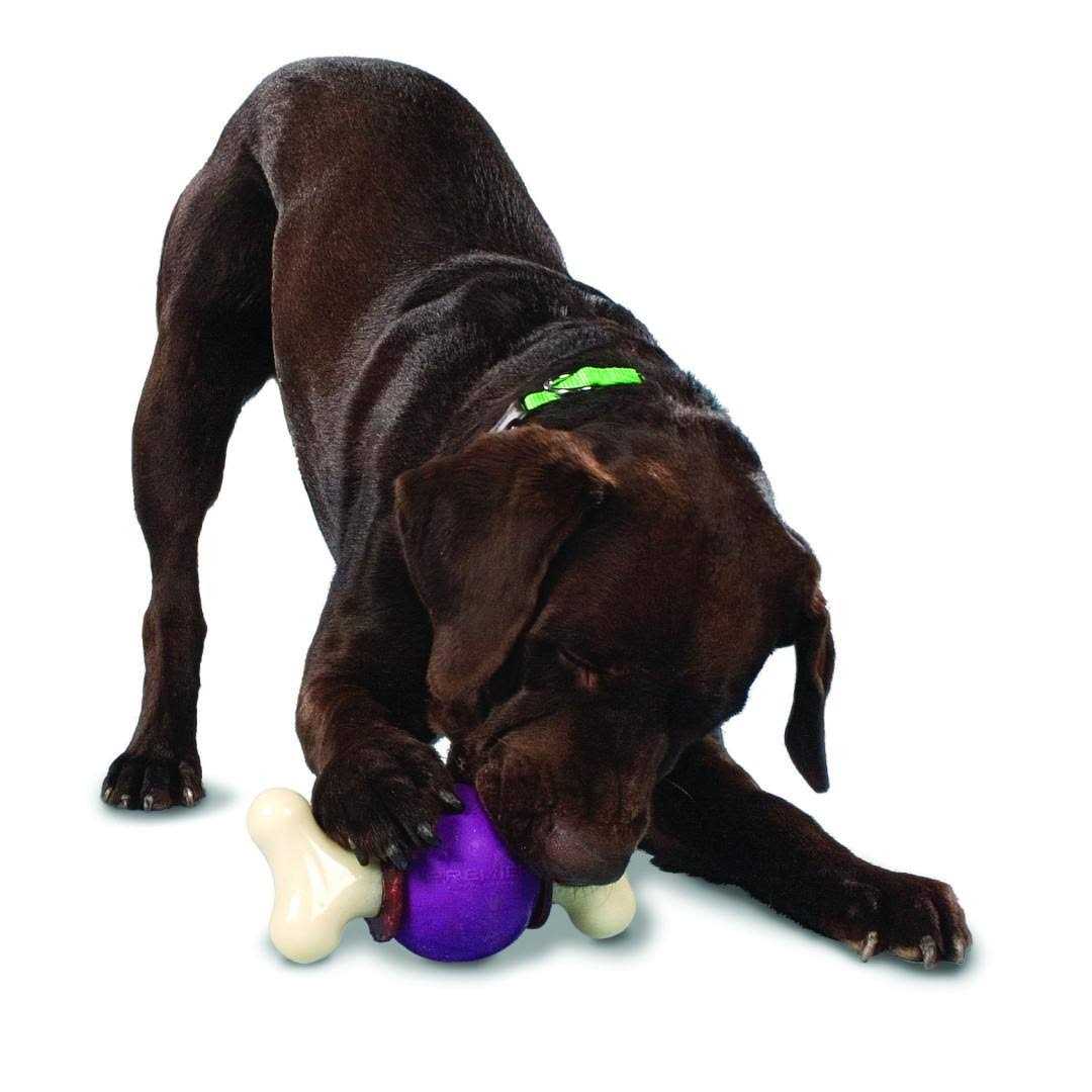 Bouncy Bone Pet Supplies G239