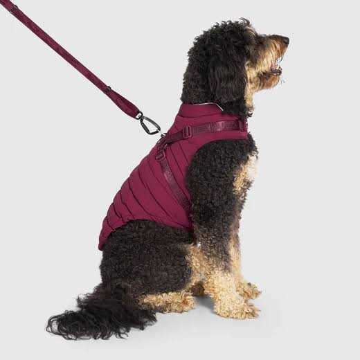 Black Puffer Harness R277