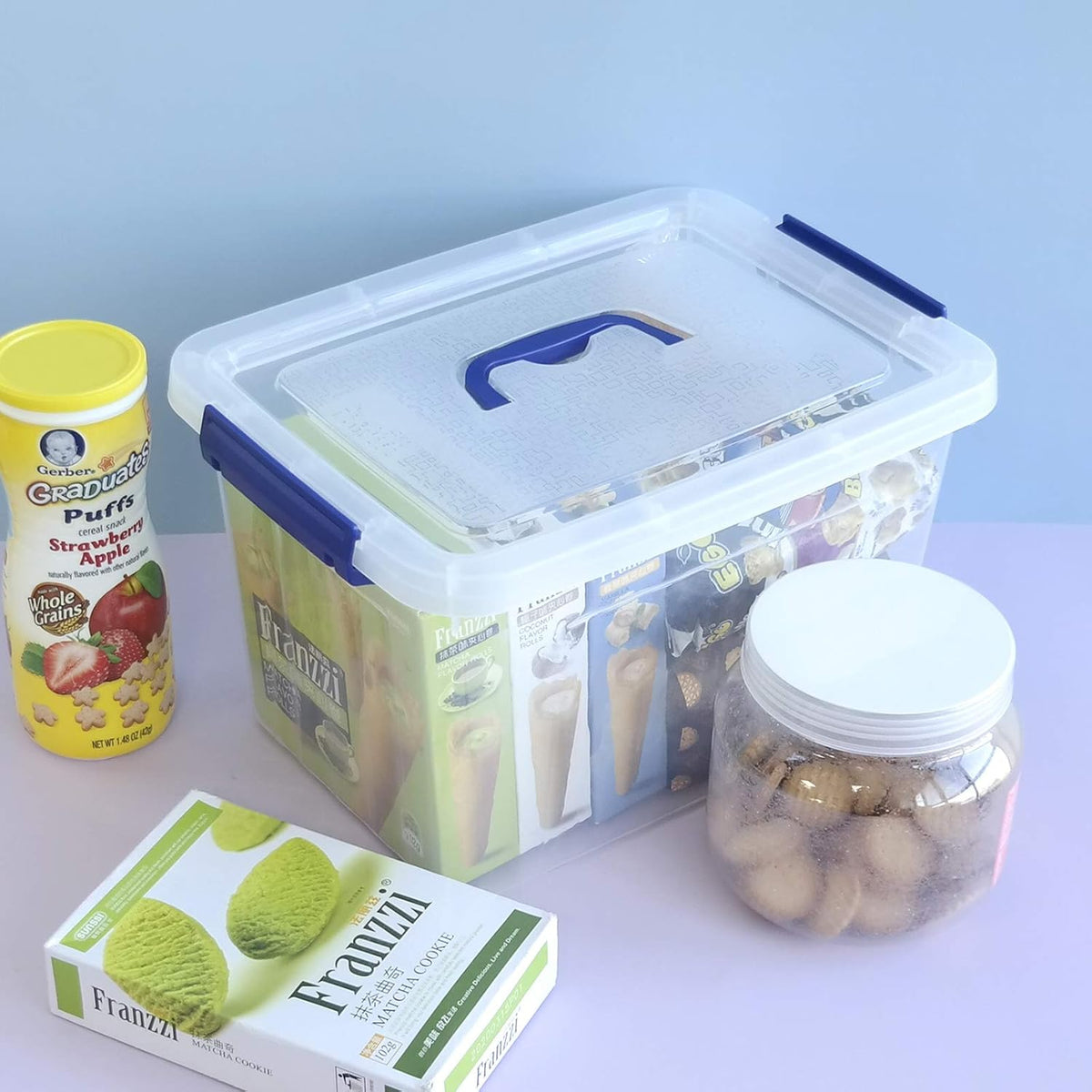 10 L Clear Plastic Storage Box with Handle, 6-Pack A917740