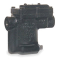 Steam Trap, Cast Iron, 0 to 180 PSI E6717