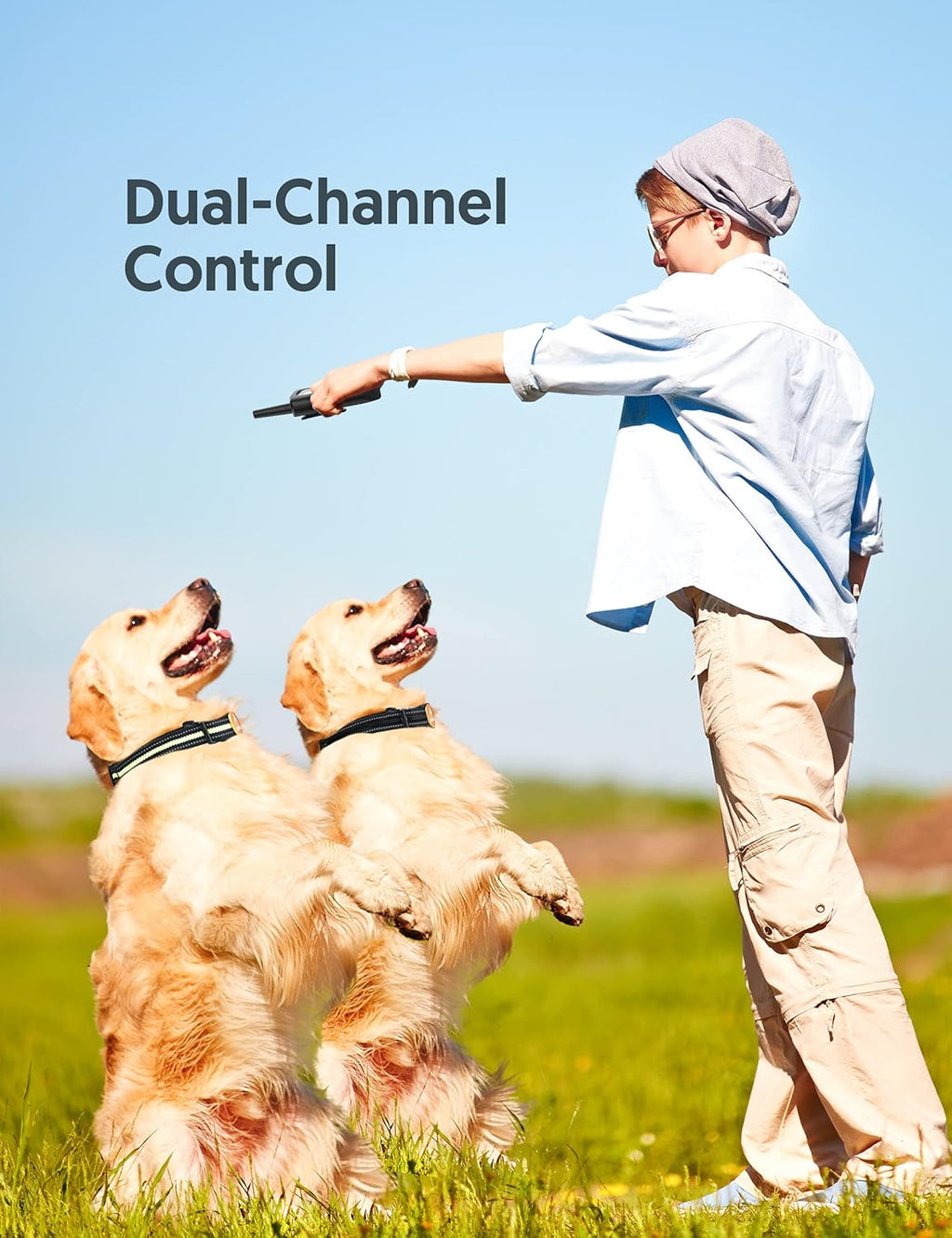2 Dogs Remote Training Collar Pack of 2 J61481