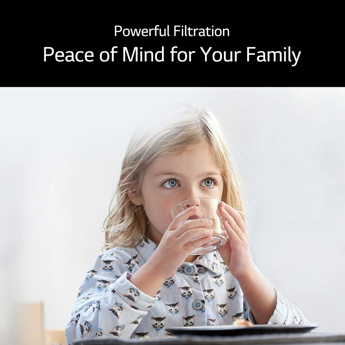Refrigerator Replacement Water Filter, 3 Count W407