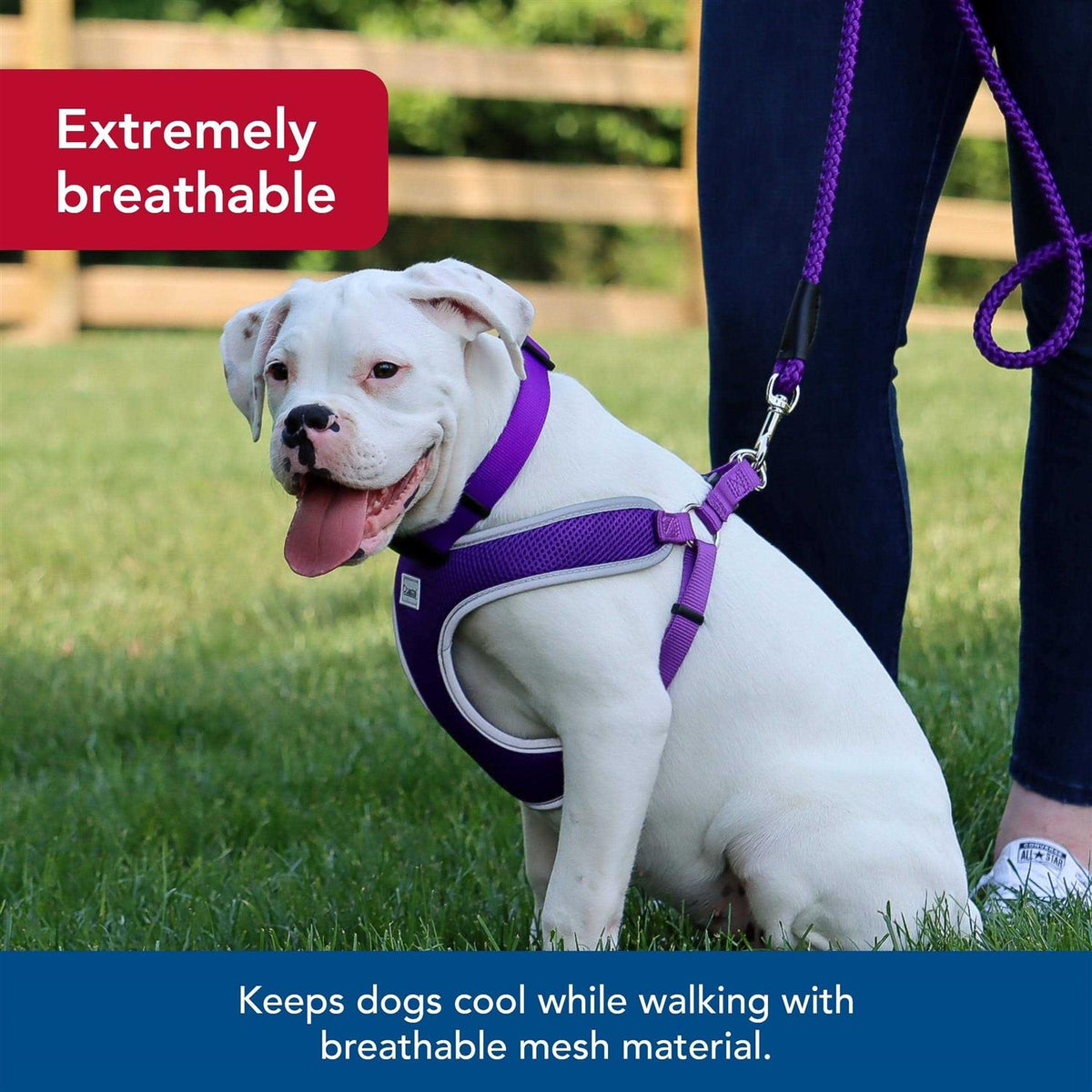 Adjustable Dog Harness Z31195