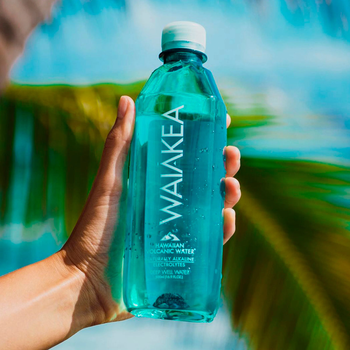 1.5 Liter Bottled Water I776179