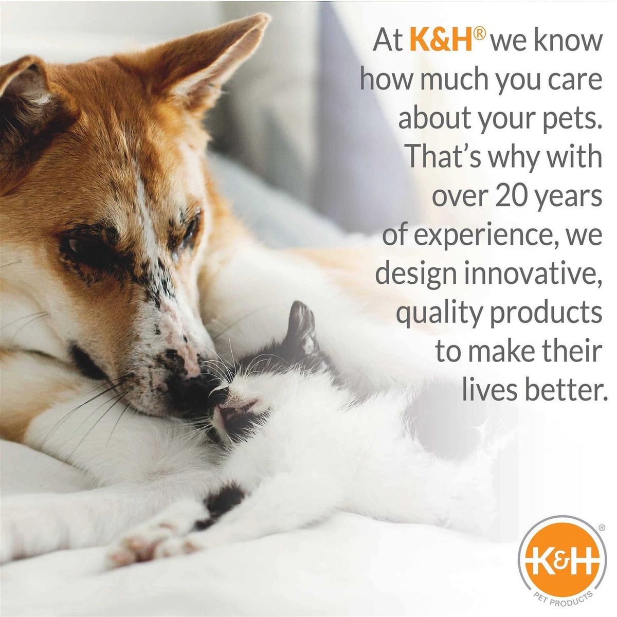 Heated Puppy Pet Bed with Bone Pillow R3998