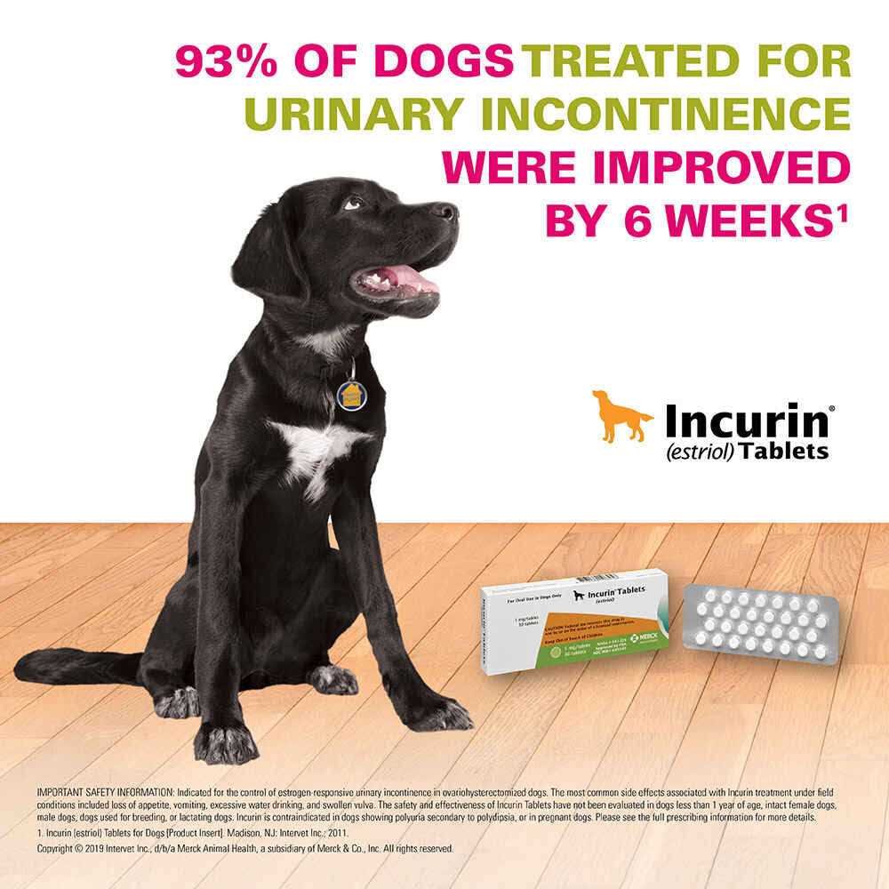 Tablets for Dogs Y576067