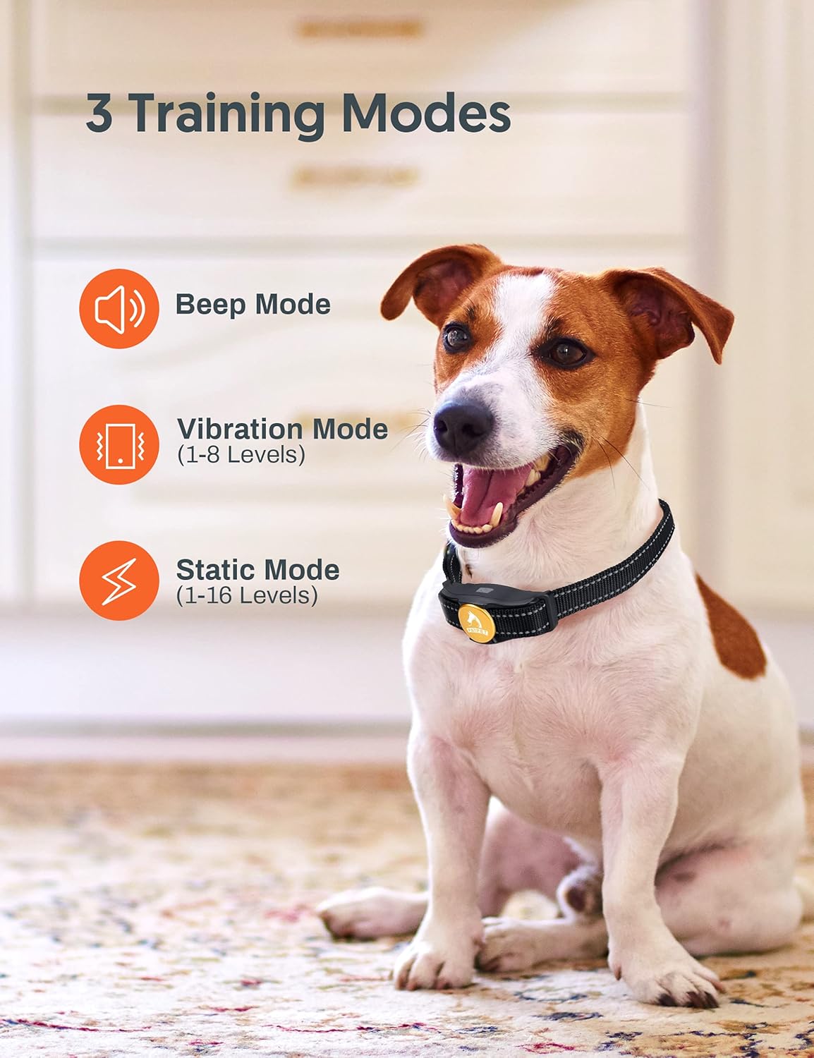 2 Dogs Remote Training Collar Pack of 2 J61481