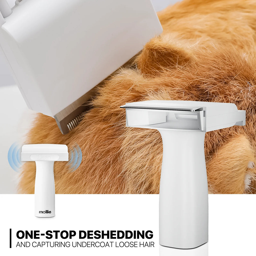 Blue 3-in-1 Pet Grooming Vacuum Kit with 6 Grooming Tools J594