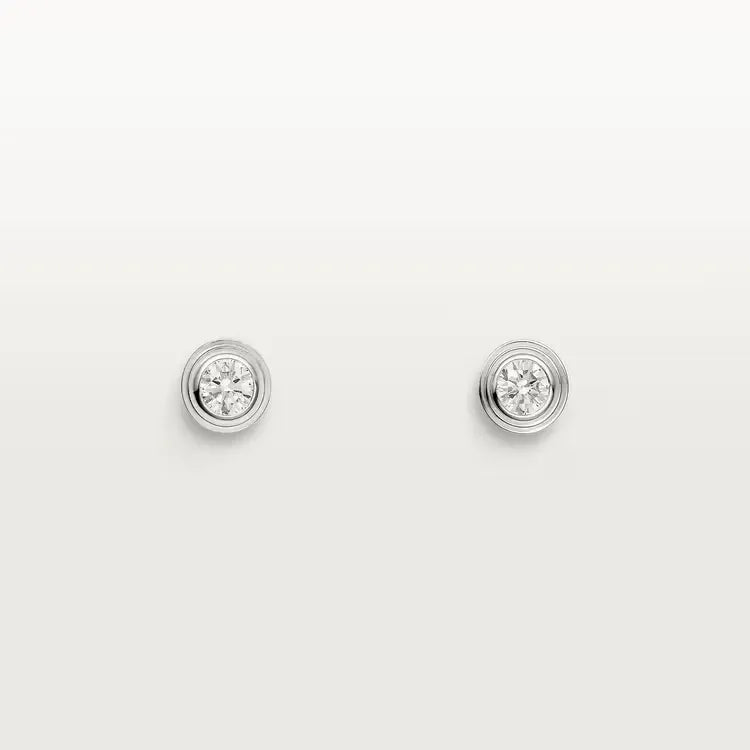 Earrings B99753