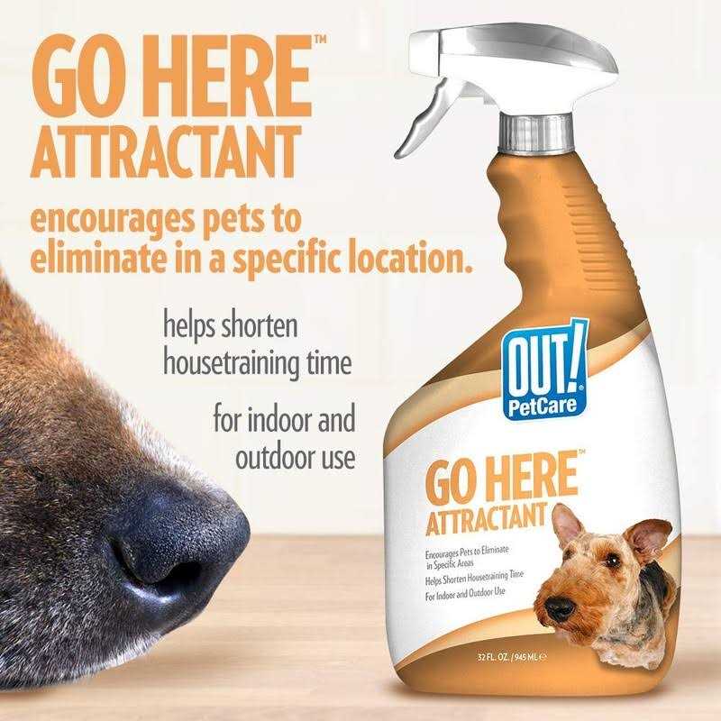 Indoor and Outdoor Dog Training Spray P484